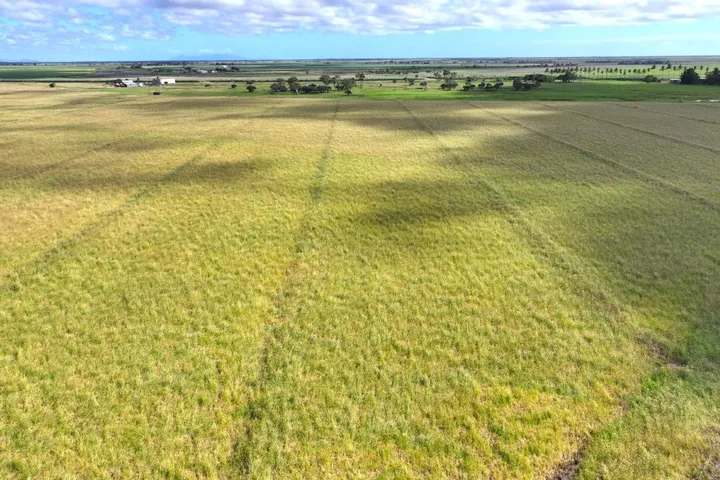 162 Becker Road , Brandon For Sale by Farmbuy.com - image 19