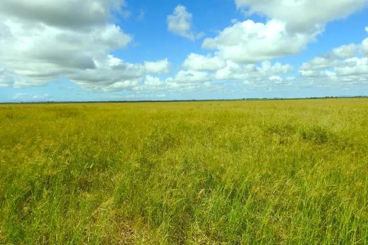 162 Becker Road , Brandon For Sale by Farmbuy.com - image 9