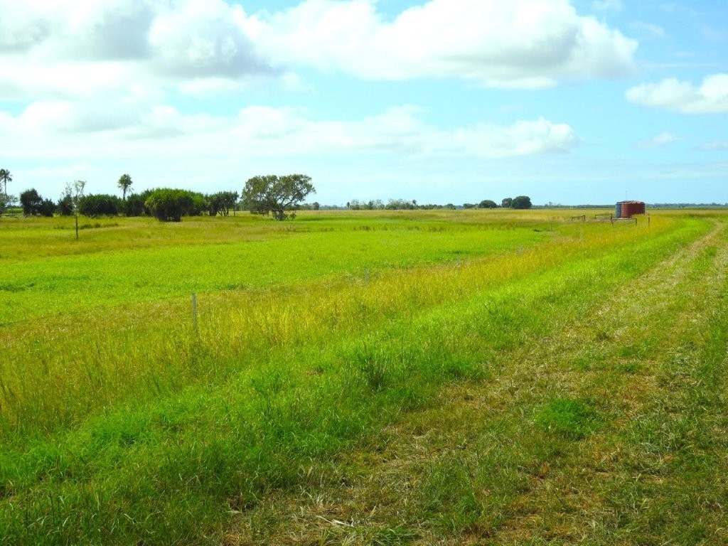 162 Becker Road , Brandon For Sale by Farmbuy.com - image 19