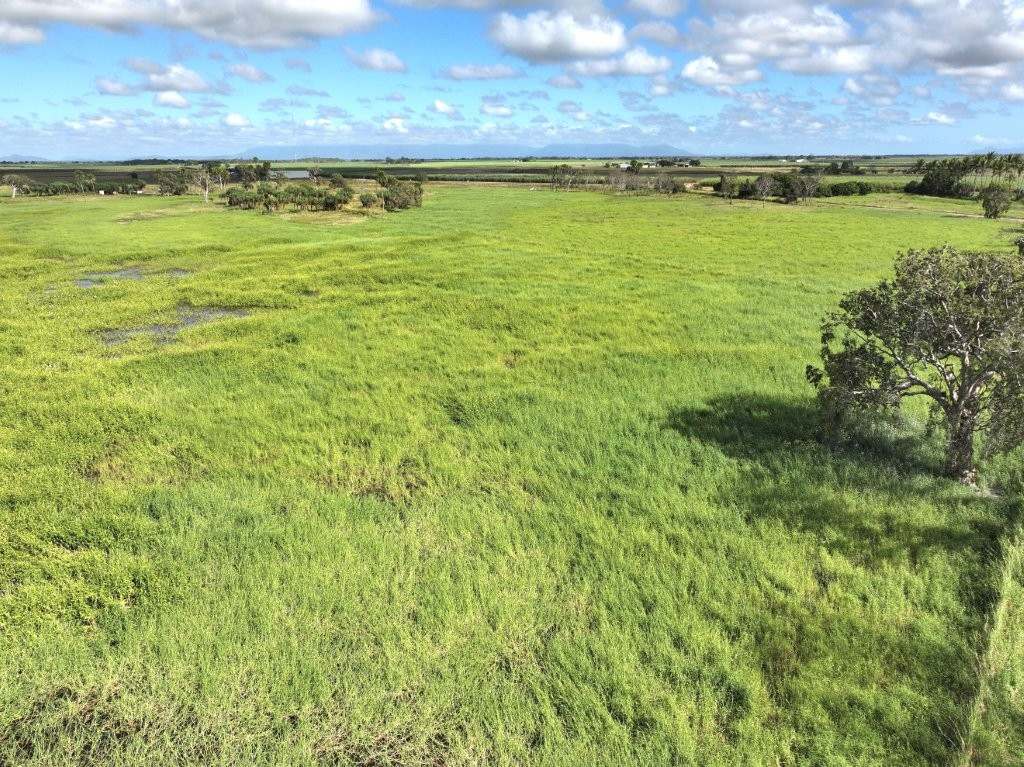 162 Becker Road , Brandon For Sale by Farmbuy.com - image 22