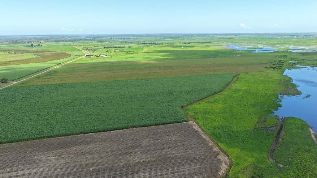 162 Becker Road , Brandon For Sale by Farmbuy.com - image 22