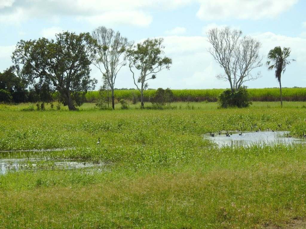 162 Becker Road , Brandon For Sale by Farmbuy.com - image 20