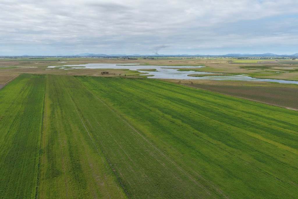 162 Becker Road , Brandon For Sale by Farmbuy.com - image 28