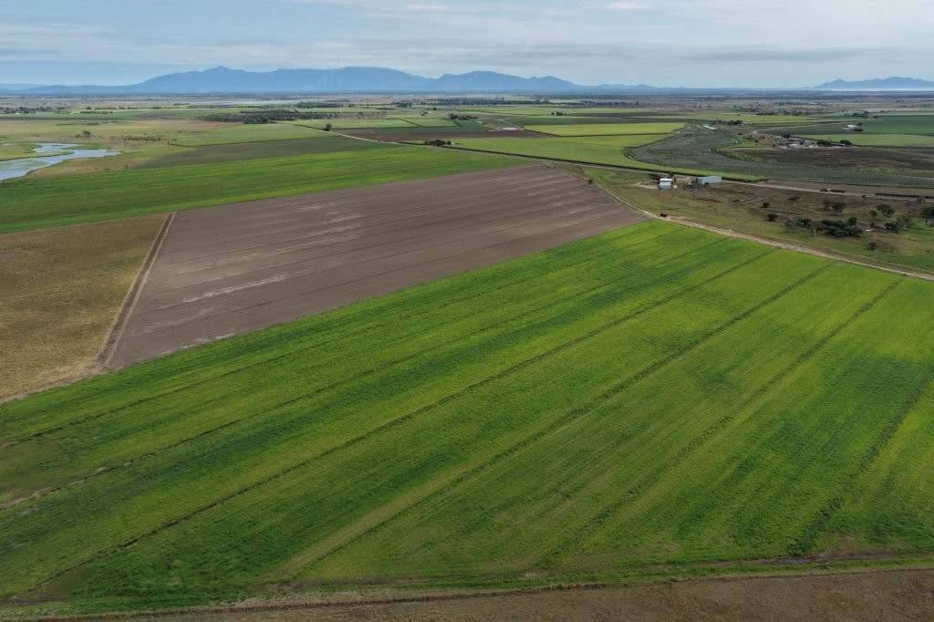 162 Becker Road , Brandon For Sale by Farmbuy.com - image 23