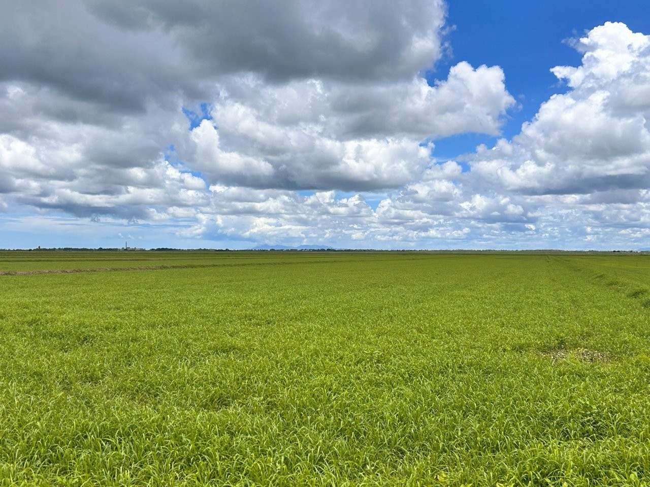 162 Becker Road , Brandon For Sale by Farmbuy.com - image 14