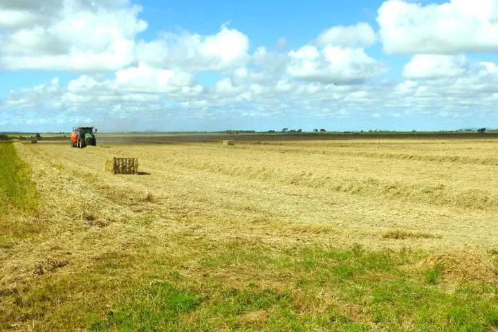 162 Becker Road , Brandon For Sale by Farmbuy.com - image 8