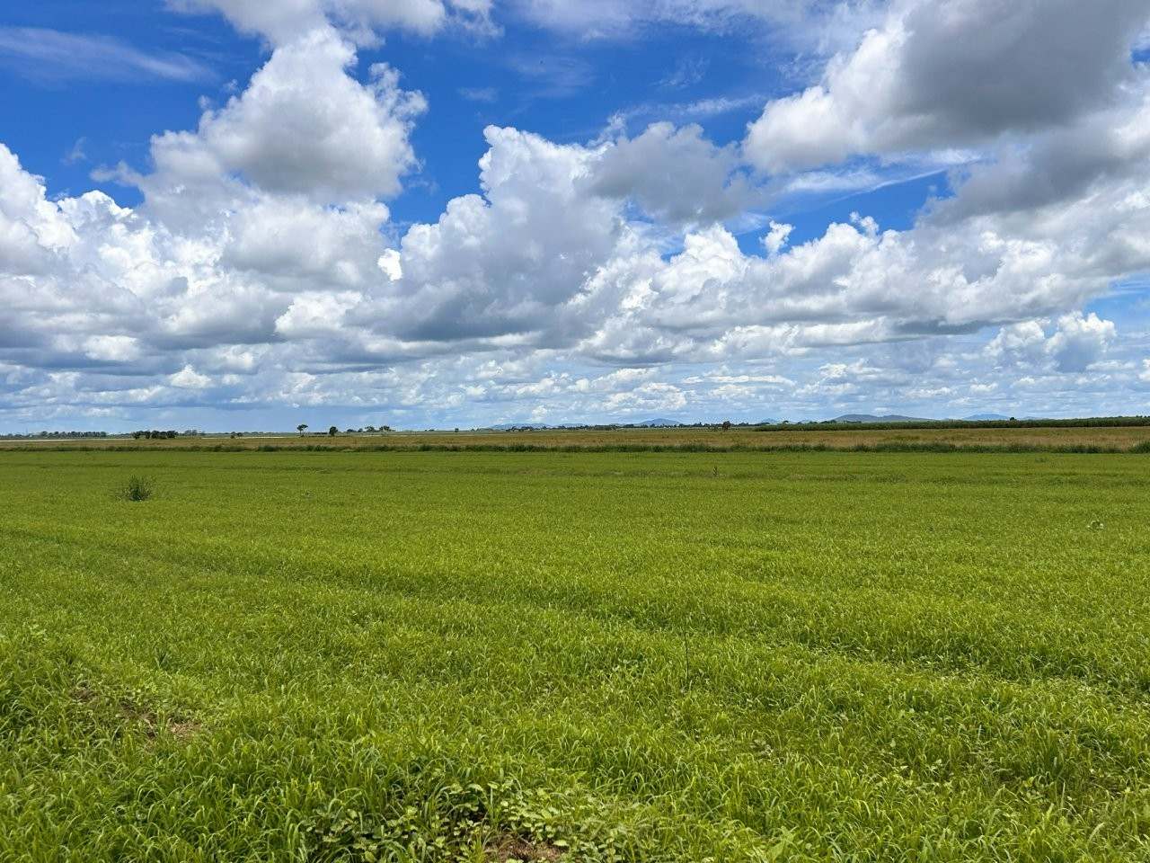 162 Becker Road , Brandon For Sale by Farmbuy.com - image 18