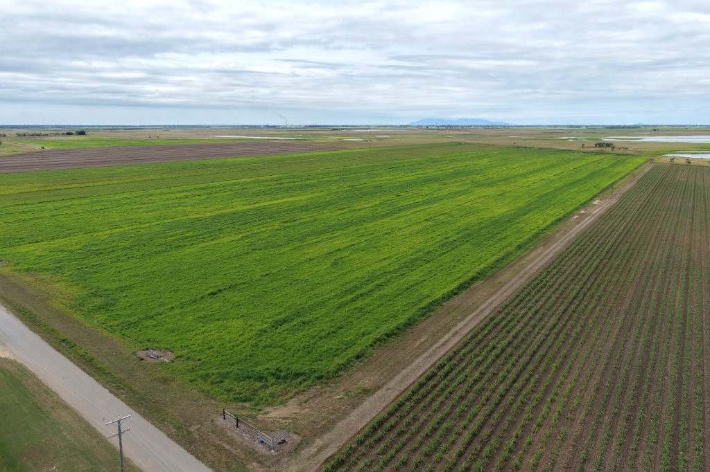 162 Becker Road , Brandon For Sale by Farmbuy.com - image 8