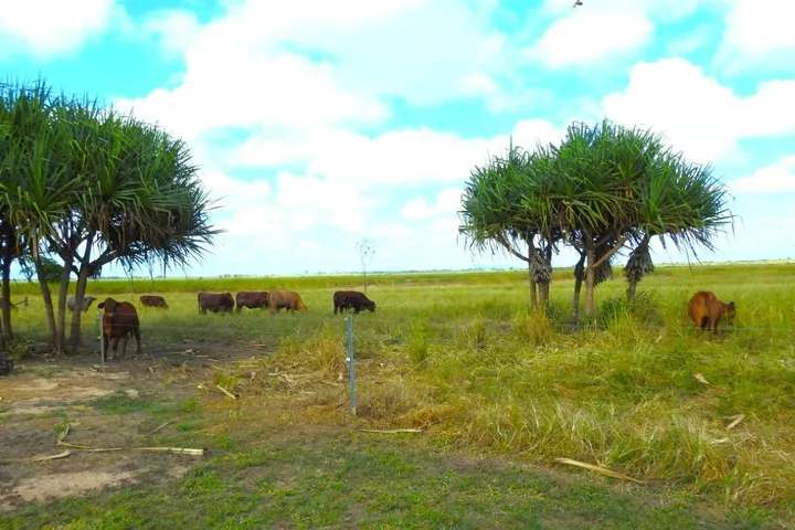 162 Becker Road , Brandon For Sale by Farmbuy.com - image 13