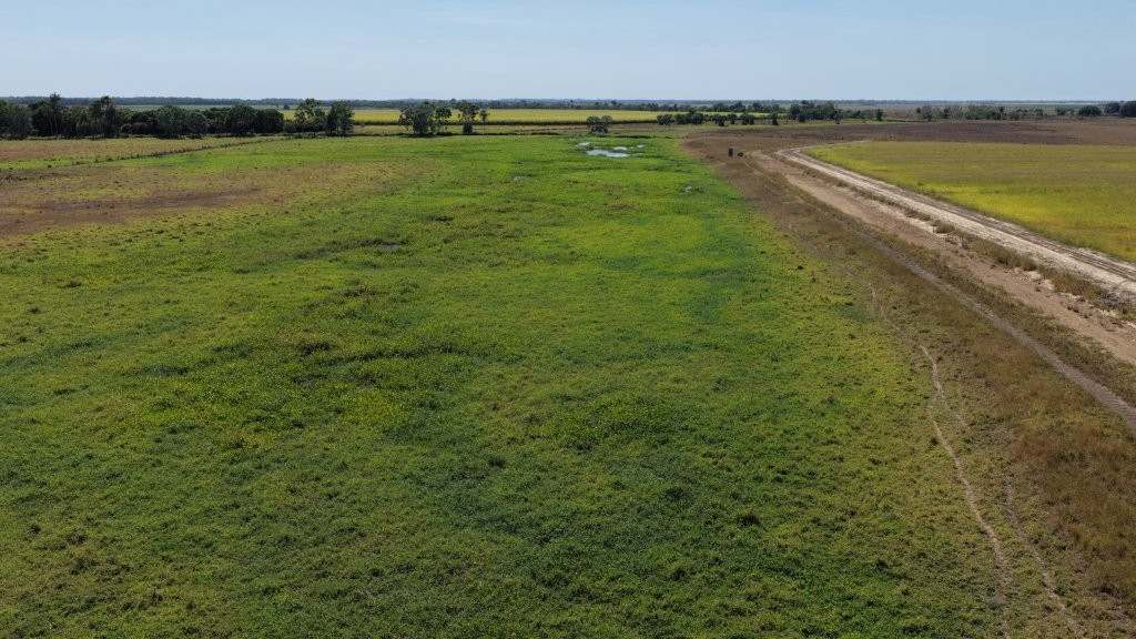 162 Becker Road , Brandon For Sale by Farmbuy.com - image 18