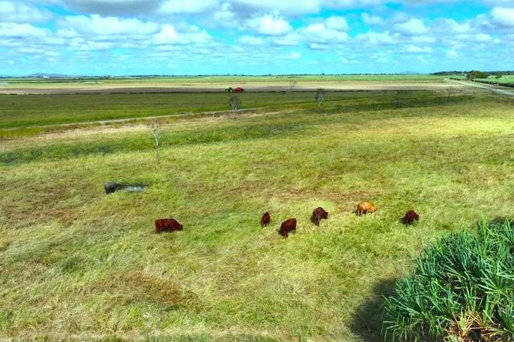 162 Becker Road , Brandon For Sale by Farmbuy.com - image 14