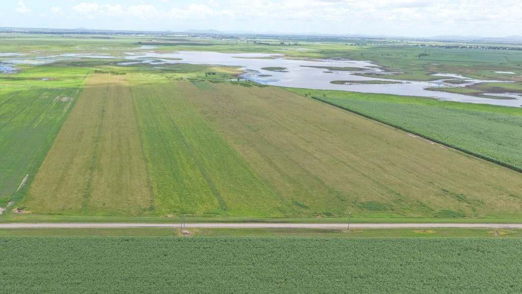 162 Becker Road , Brandon For Sale by Farmbuy.com - image 42