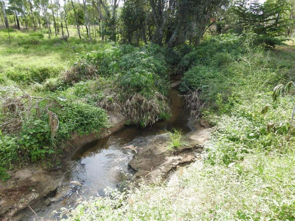12323 Flinders Highway, Queenton For Sale by Farmbuy.com - image 32