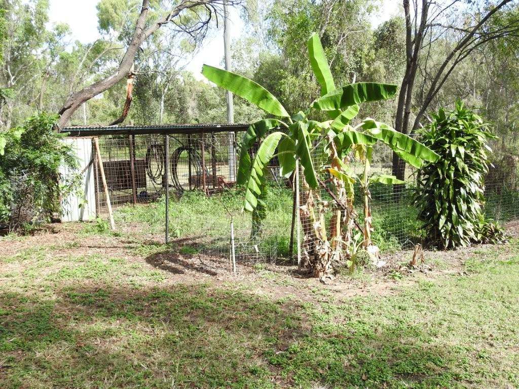 12323 Flinders Highway, Queenton For Sale by Farmbuy.com - image 35