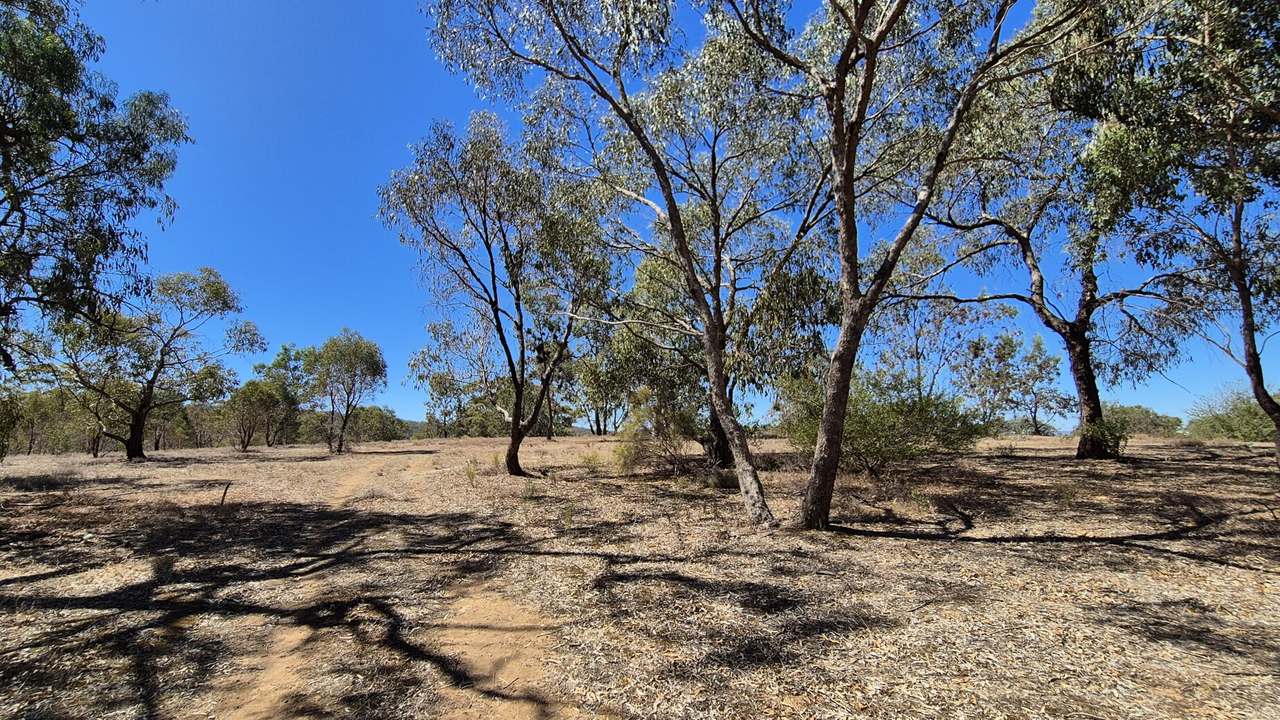 26a Mount Tarrengower Road, Maldon For Sale by Farmbuy.com - image 4