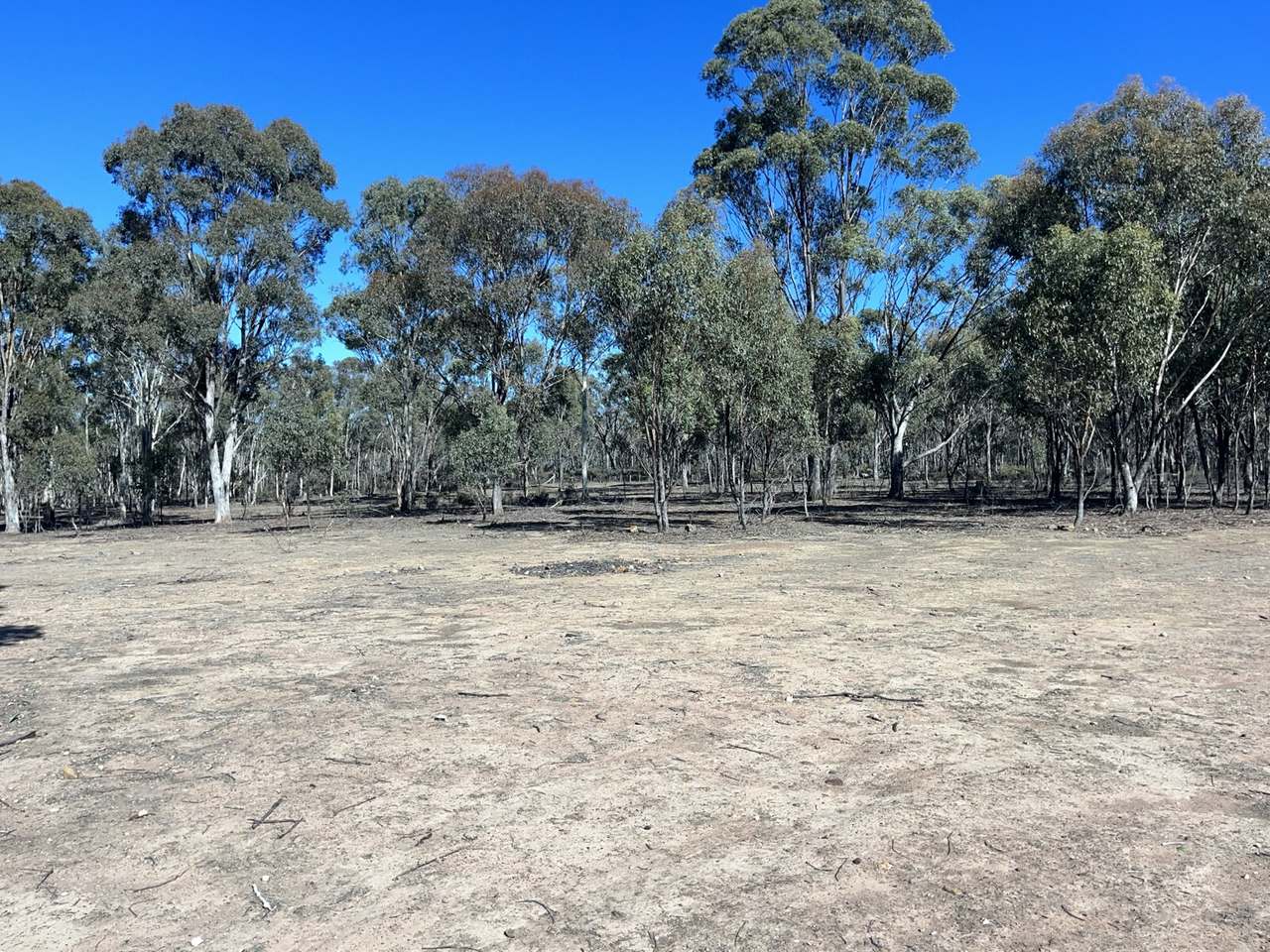 Waanyarra Road, Waanyarra For Sale by Farmbuy.com - image 4