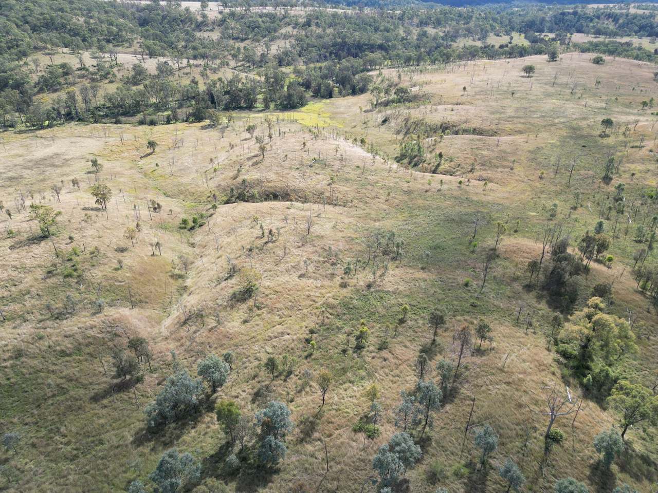 Lot 51 Tim Shea Creek Road, Wengenville For Sale by Farmbuy.com - image 13