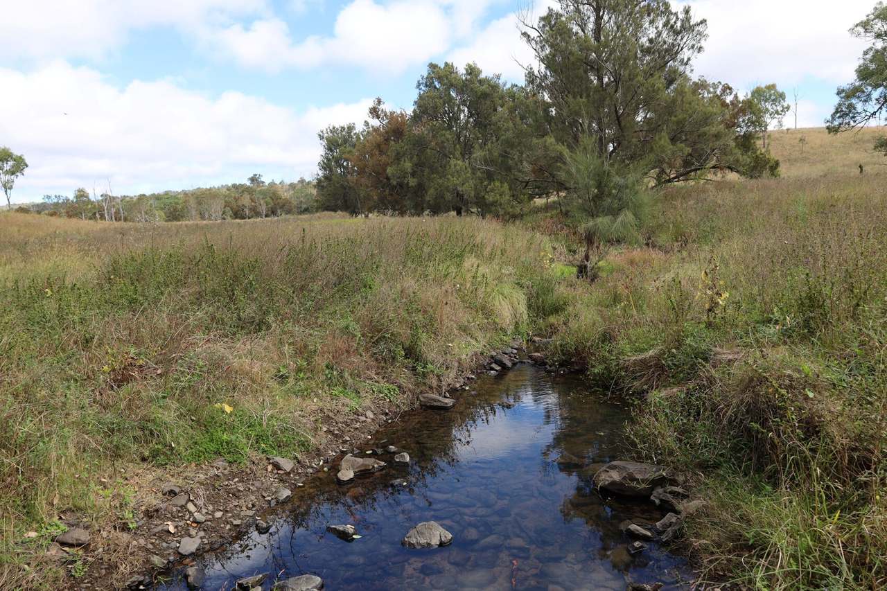 Lot 51 Tim Shea Creek Road, Wengenville For Sale by Farmbuy.com - image 2