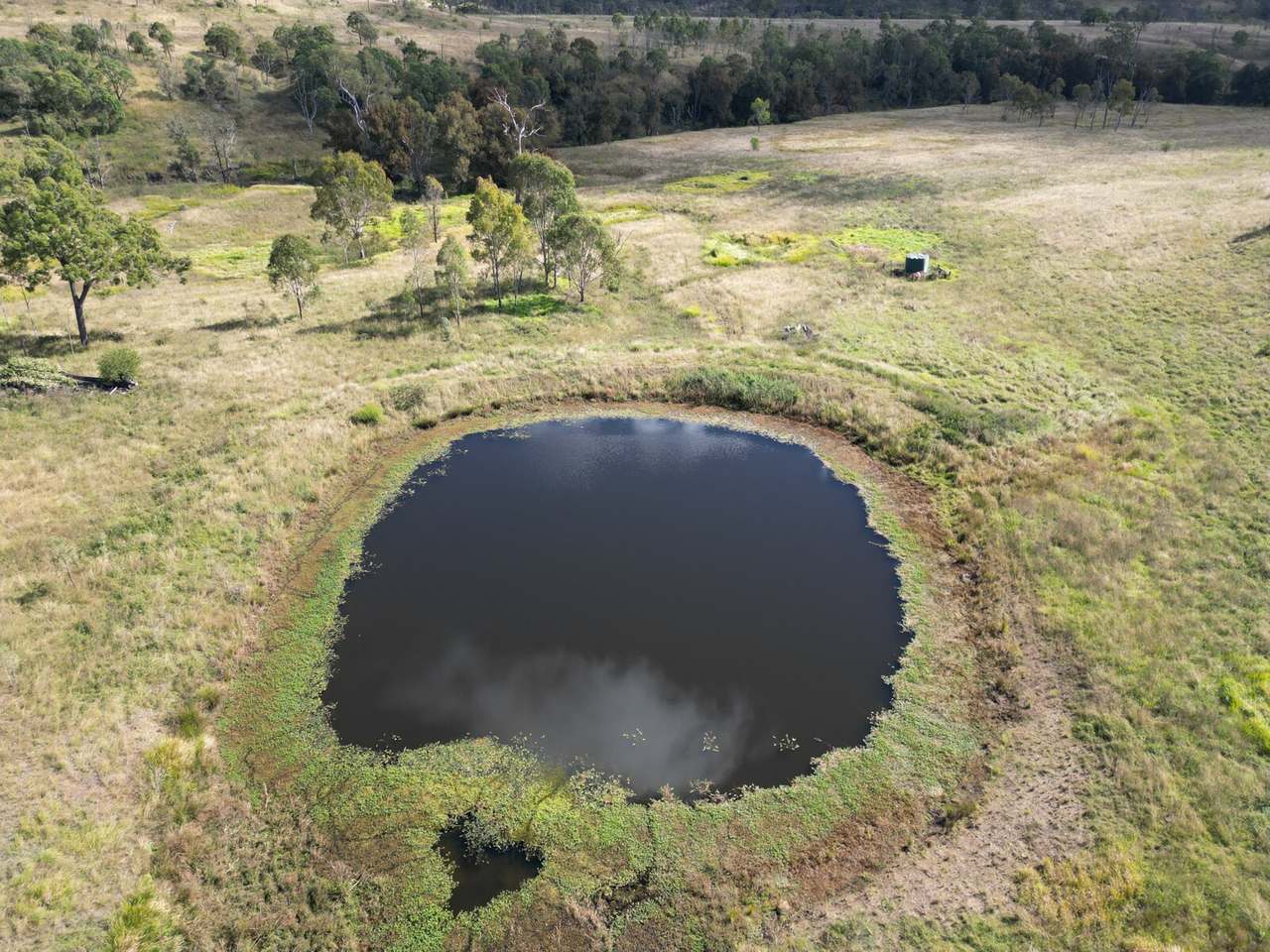 Lot 51 Tim Shea Creek Road, Wengenville For Sale by Farmbuy.com - image 9