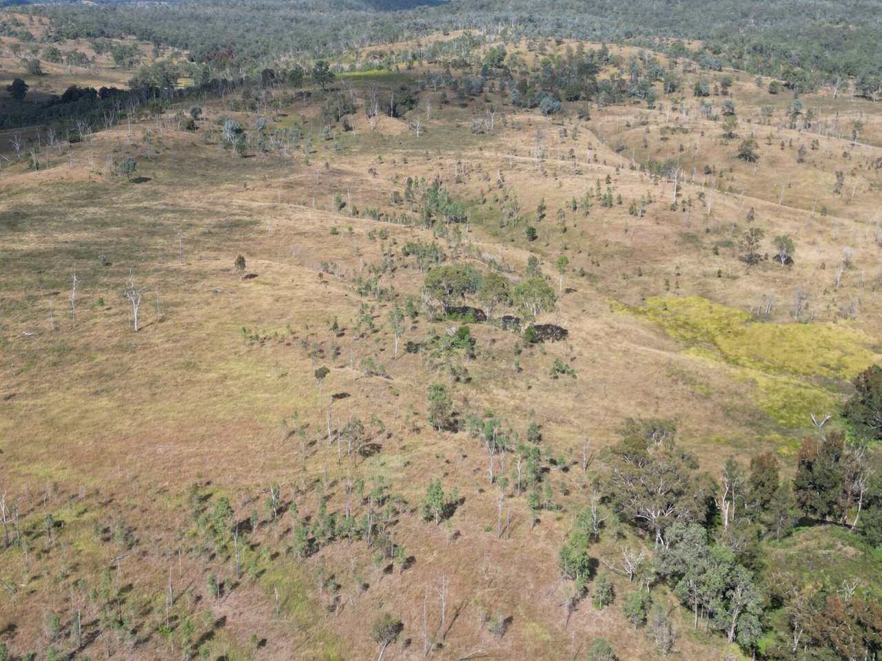 Lot 51 Tim Shea Creek Road, Wengenville For Sale by Farmbuy.com - image 16