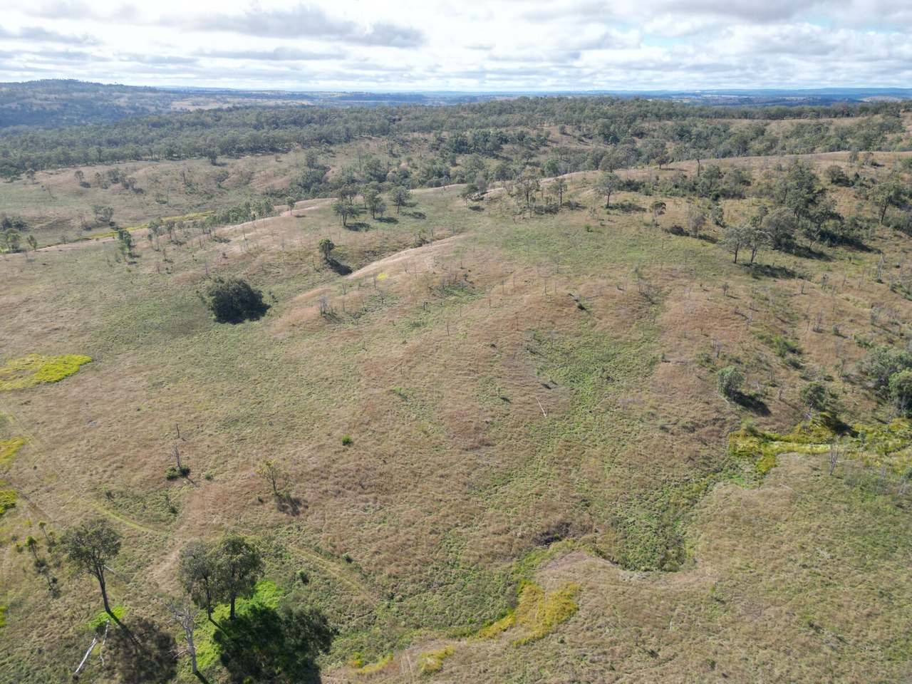 Lot 51 Tim Shea Creek Road, Wengenville For Sale by Farmbuy.com - image 6