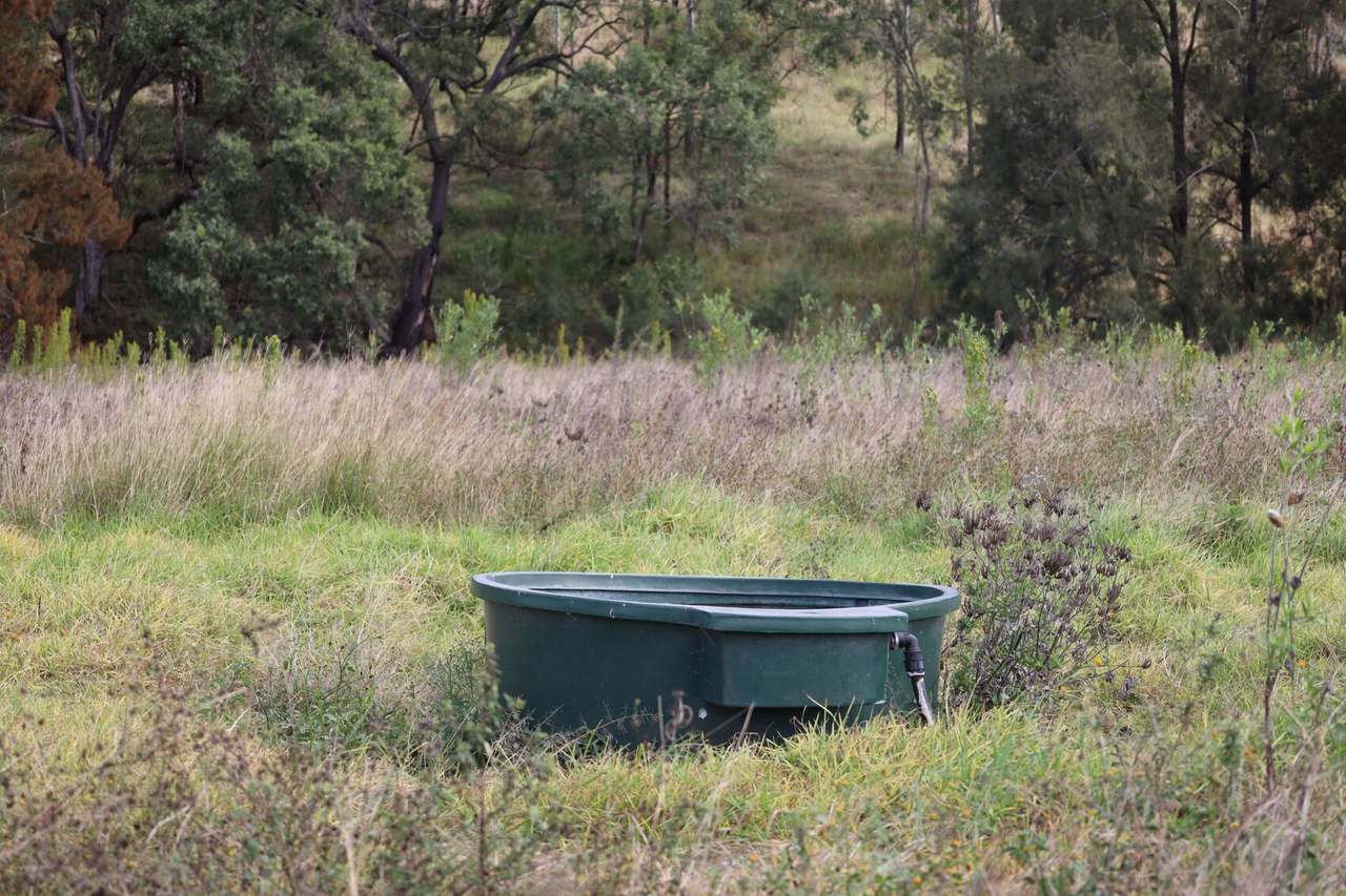 Lot 51 Tim Shea Creek Road, Wengenville For Sale by Farmbuy.com - image 8
