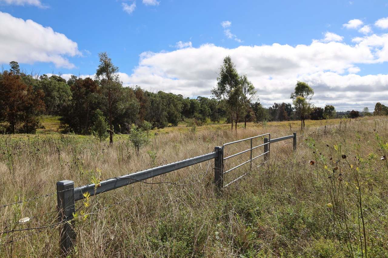 Lot 51 Tim Shea Creek Road, Wengenville For Sale by Farmbuy.com - image 3