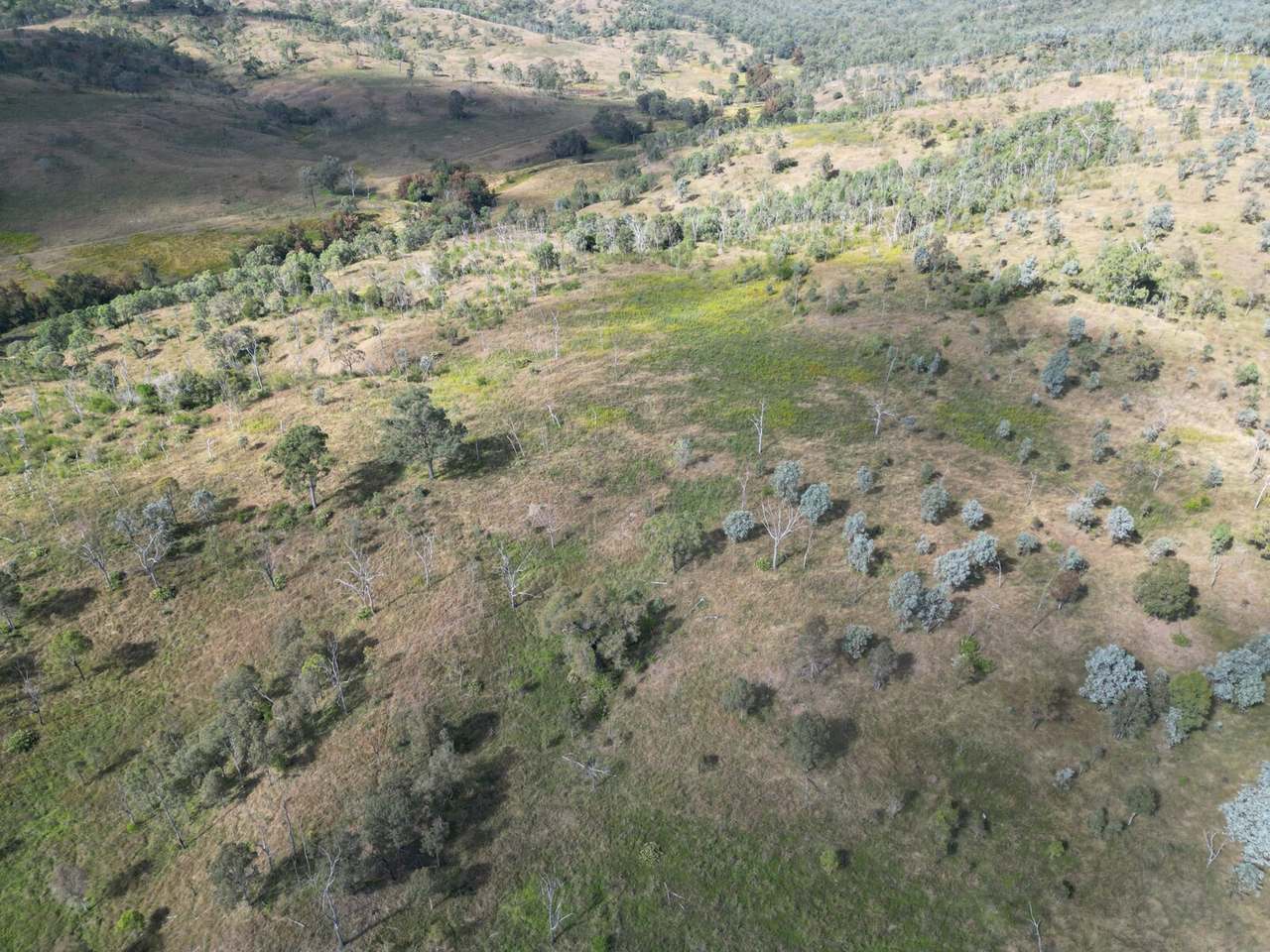 Lot 51 Tim Shea Creek Road, Wengenville For Sale by Farmbuy.com - image 14