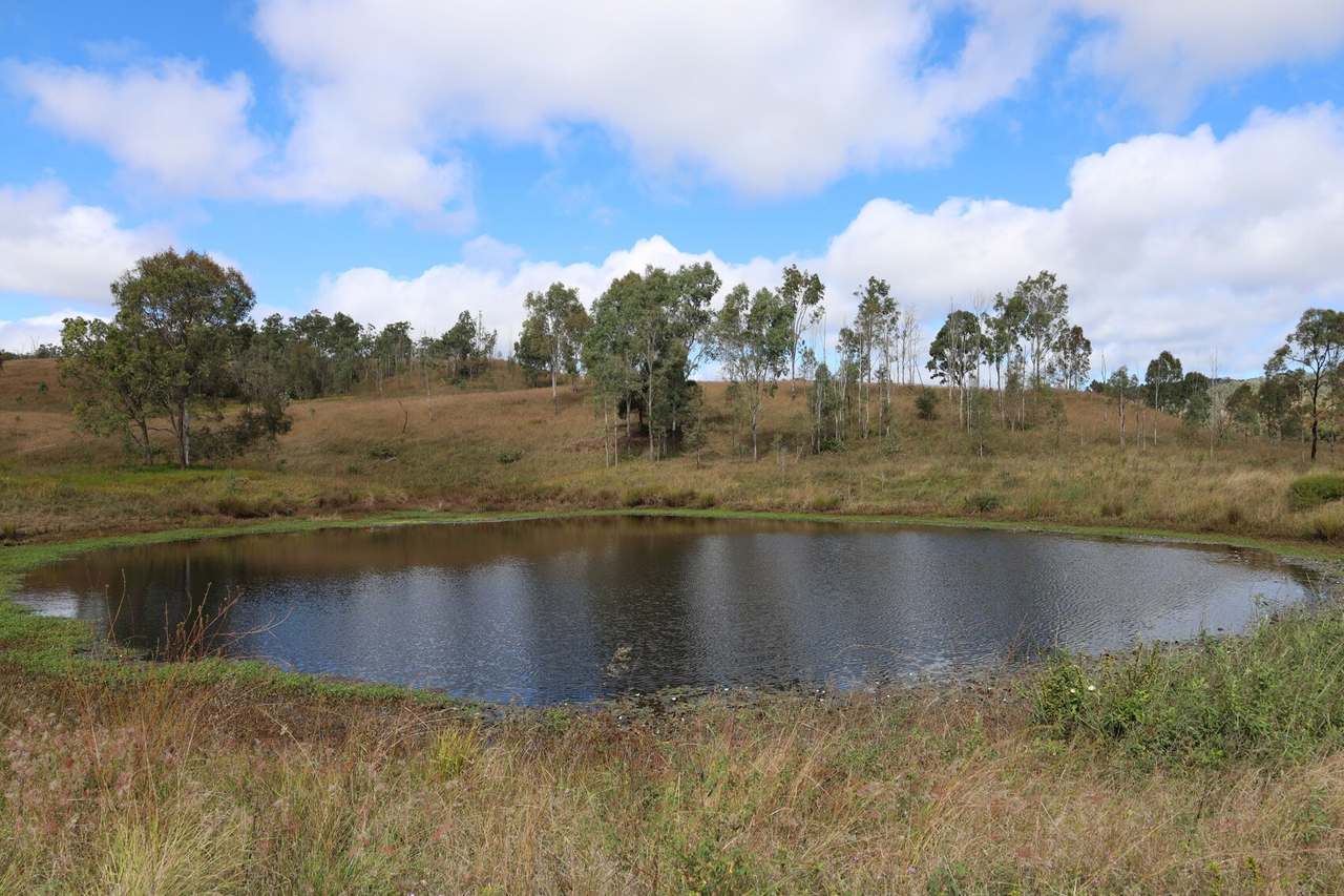 Lot 51 Tim Shea Creek Road, Wengenville For Sale by Farmbuy.com - image 7