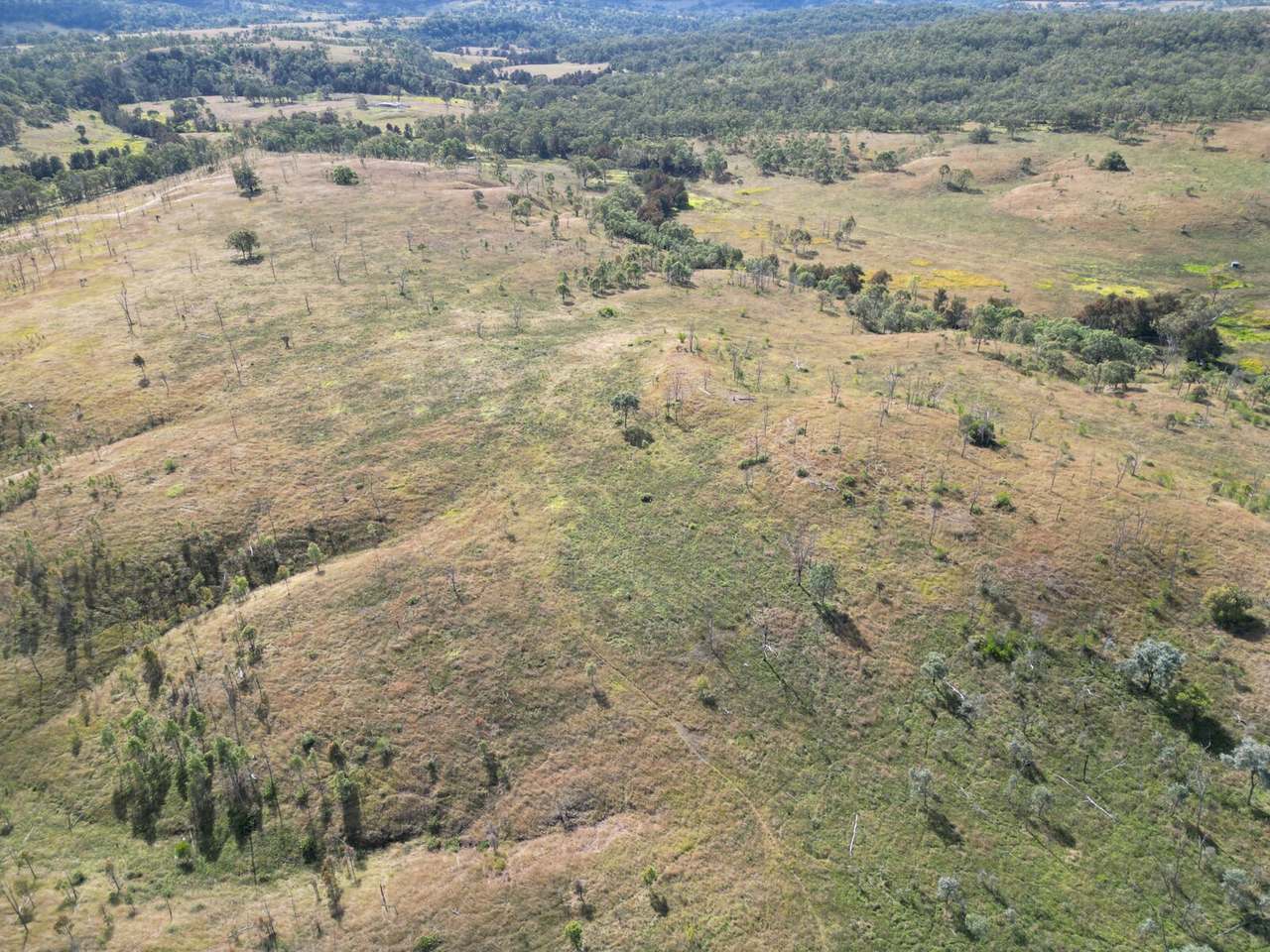 Lot 51 Tim Shea Creek Road, Wengenville For Sale by Farmbuy.com - image 12