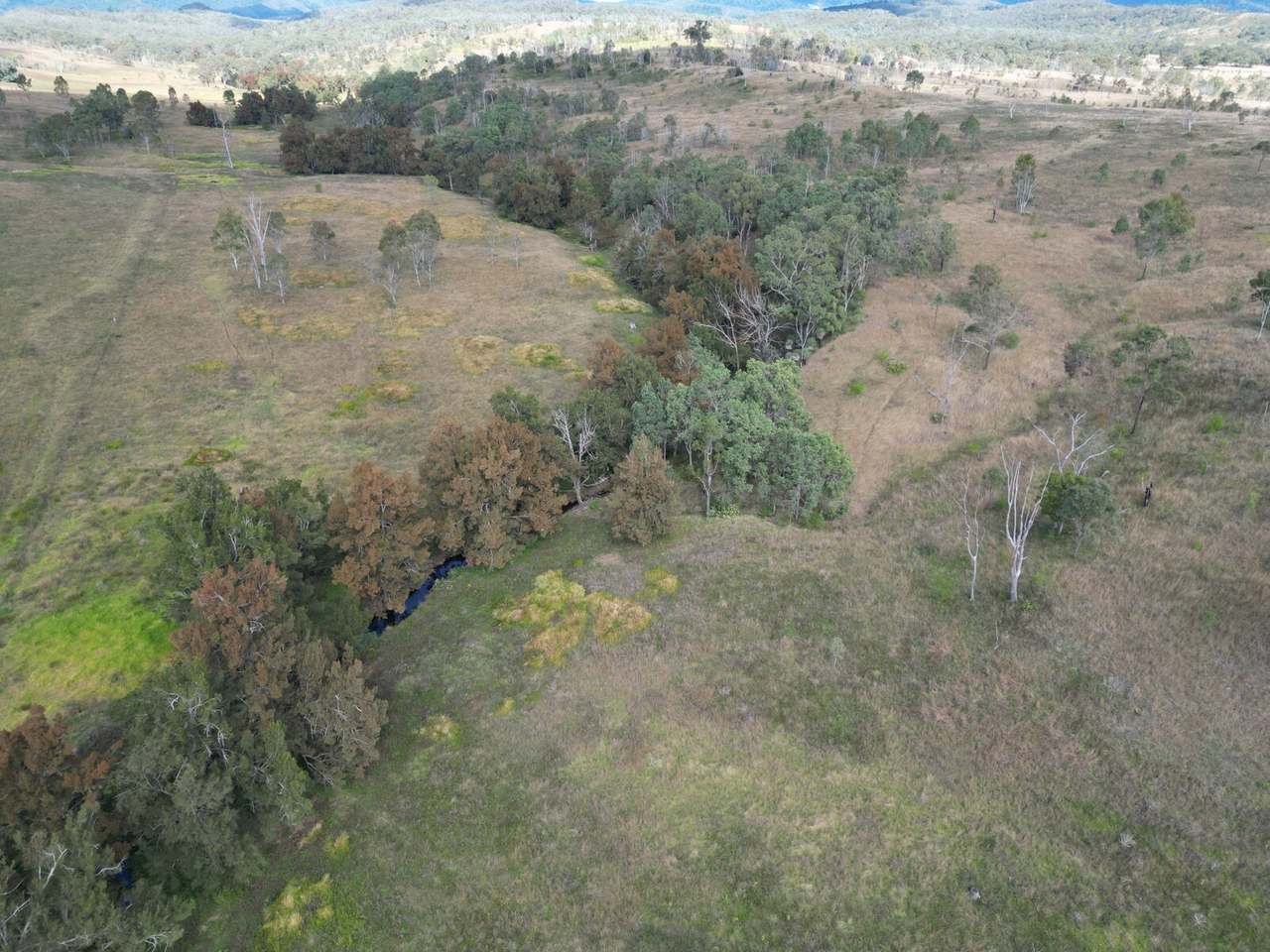Lot 51 Tim Shea Creek Road, Wengenville For Sale by Farmbuy.com - image 17