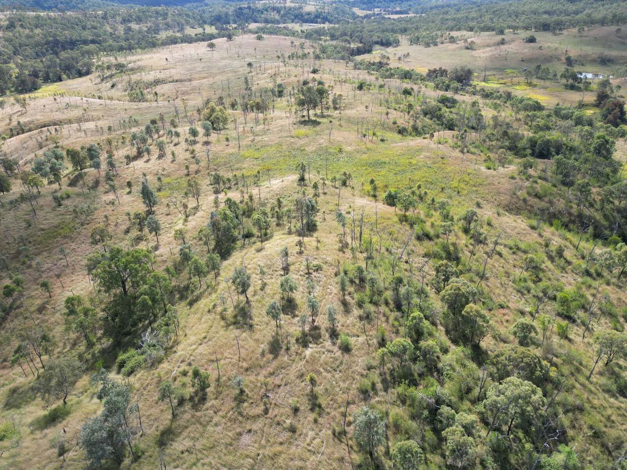 Lot 51 Tim Shea Creek Road, Wengenville For Sale by Farmbuy.com - image 10