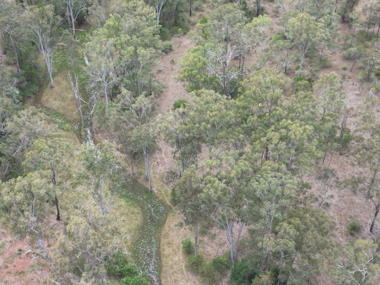 34 Bellottis Road, Oakdale For Sale by Farmbuy.com - image 13
