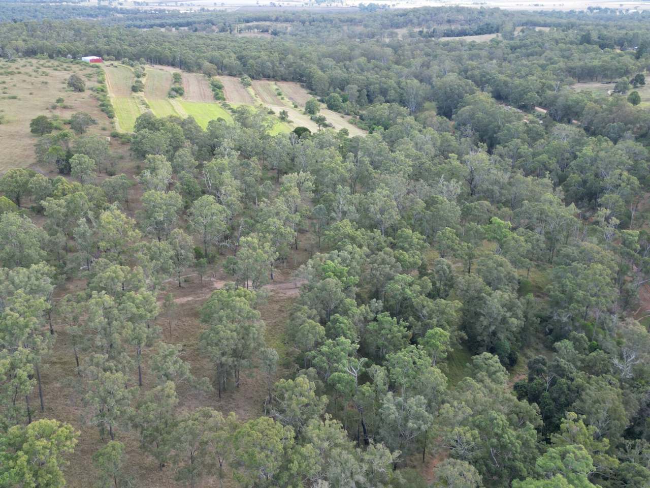 34 Bellottis Road, Oakdale For Sale by Farmbuy.com - image 9