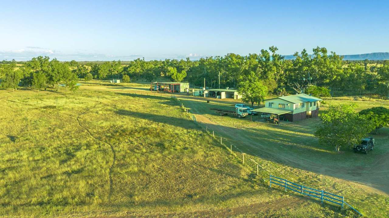 Lucie Station, Bluff Auction by Farmbuy.com - image 31