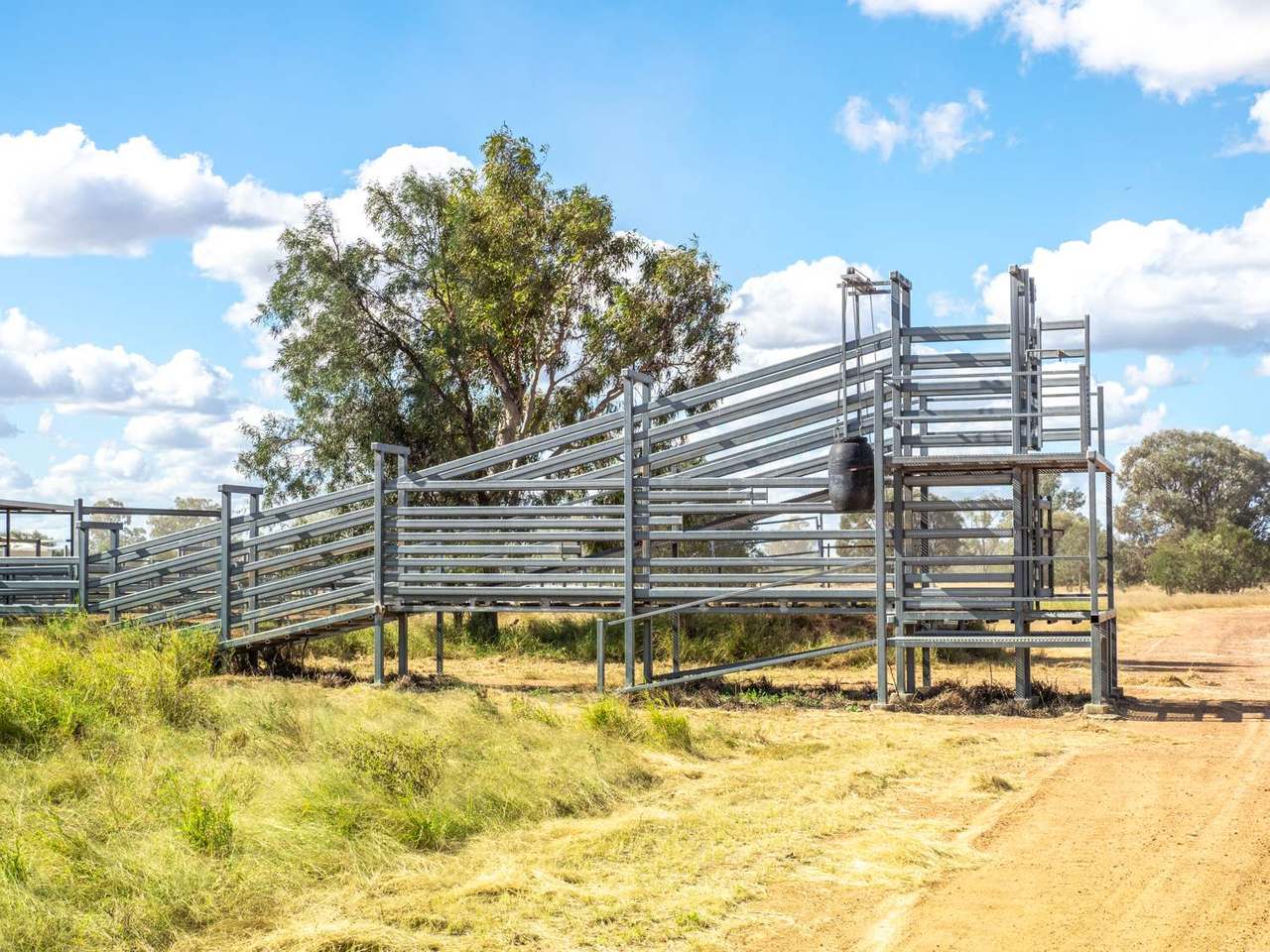 Lucie Station, Bluff Auction by Farmbuy.com - image 6