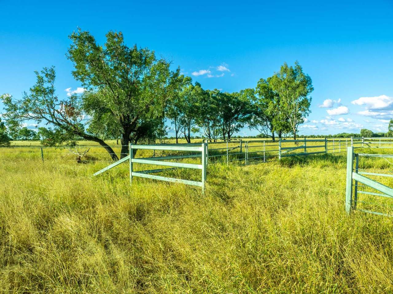 Lucie Station, Bluff Auction by Farmbuy.com - image 15