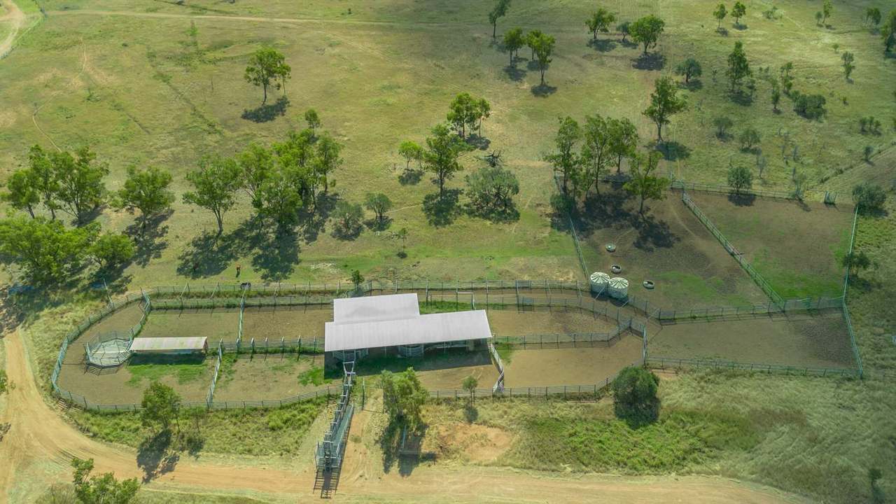 Lucie Station, Bluff Auction by Farmbuy.com - image 5