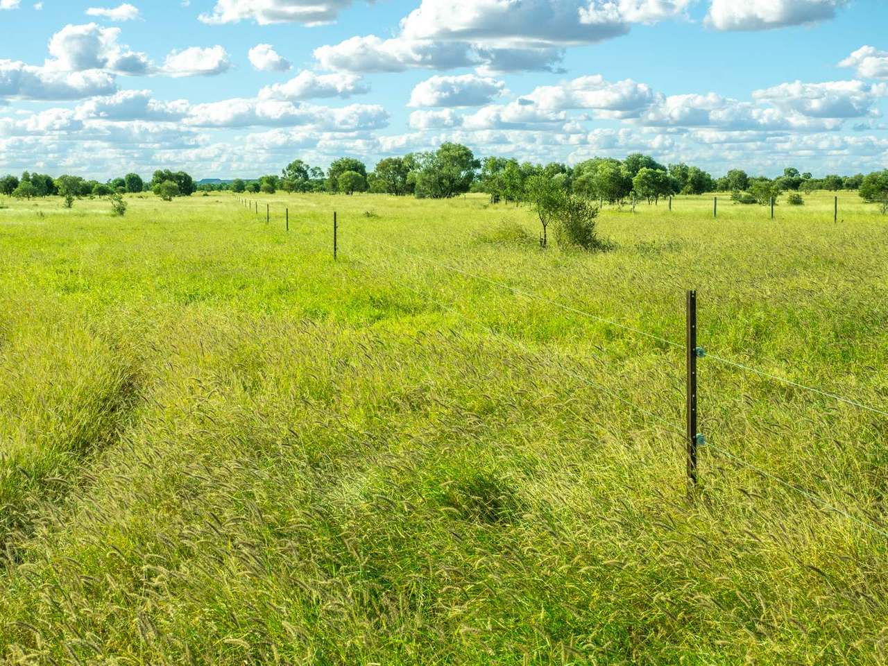 Lucie Station, Bluff Auction by Farmbuy.com - image 17