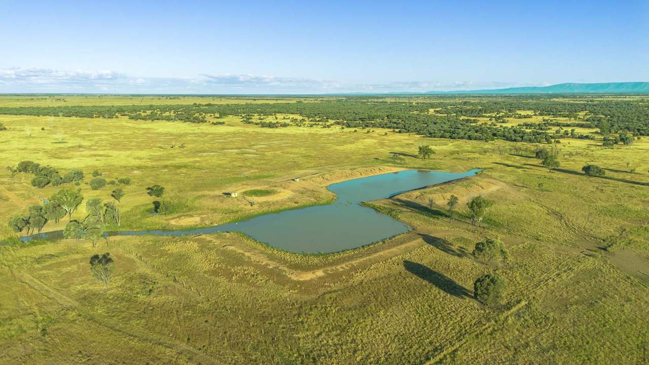 Lucie Station, Bluff Auction by Farmbuy.com - image 20