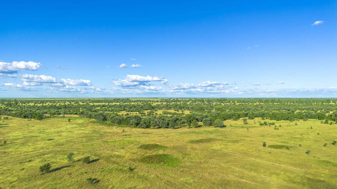 Lucie Station, Bluff Auction by Farmbuy.com - image 30