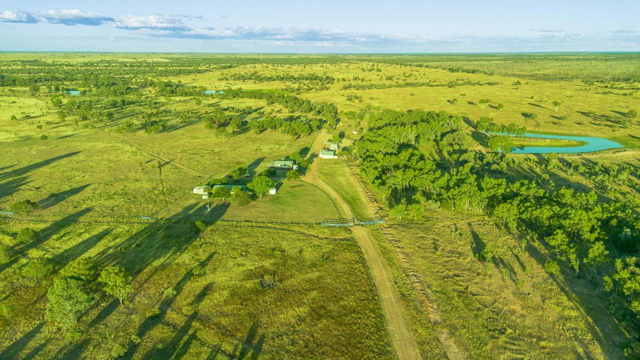 Lucie Station, Bluff Auction by Farmbuy.com - image 32