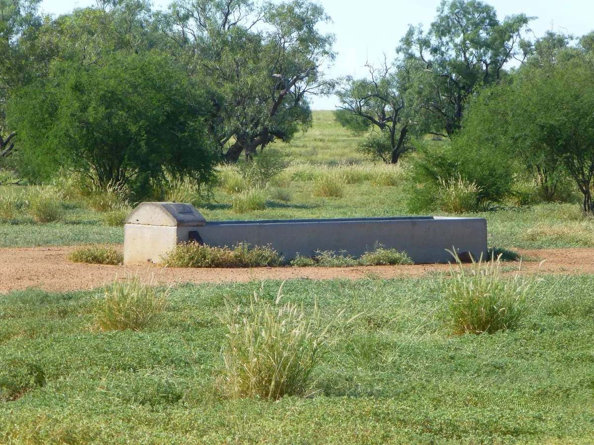 Ernestina Plains, Oorindi Sold by Farmbuy.com - image 17