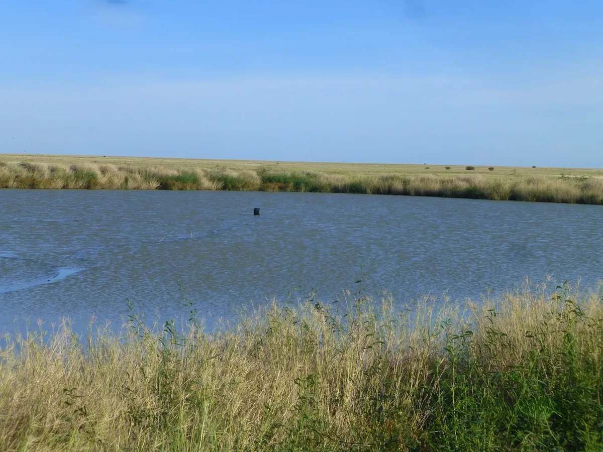 Ernestina Plains, Oorindi Sold by Farmbuy.com - image 18