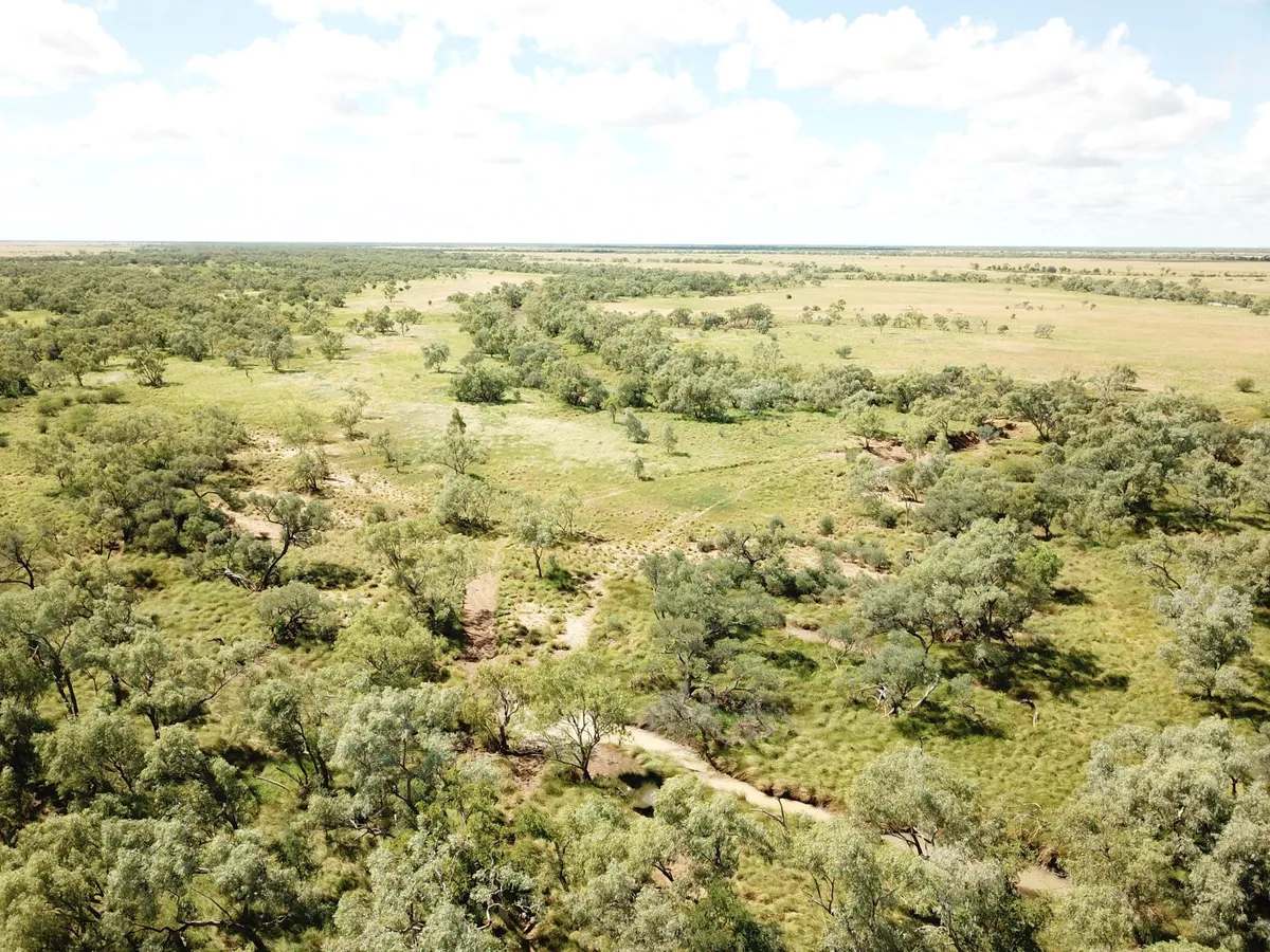 Ernestina Plains, Oorindi Sold by Farmbuy.com - image 4