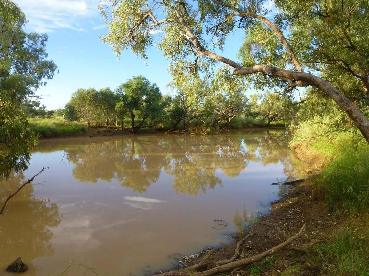 Ernestina Plains, Oorindi Sold by Farmbuy.com - image 10
