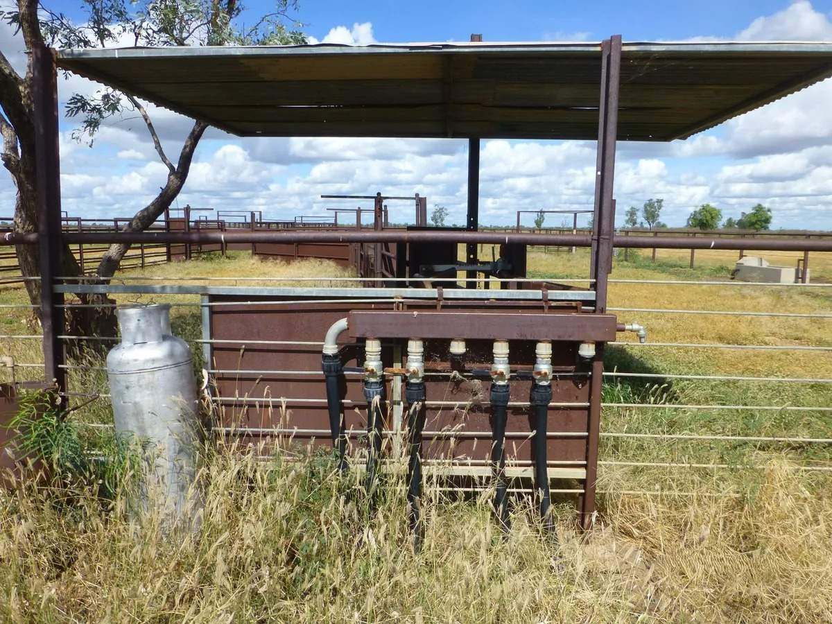 Ernestina Plains, Oorindi Sold by Farmbuy.com - image 28