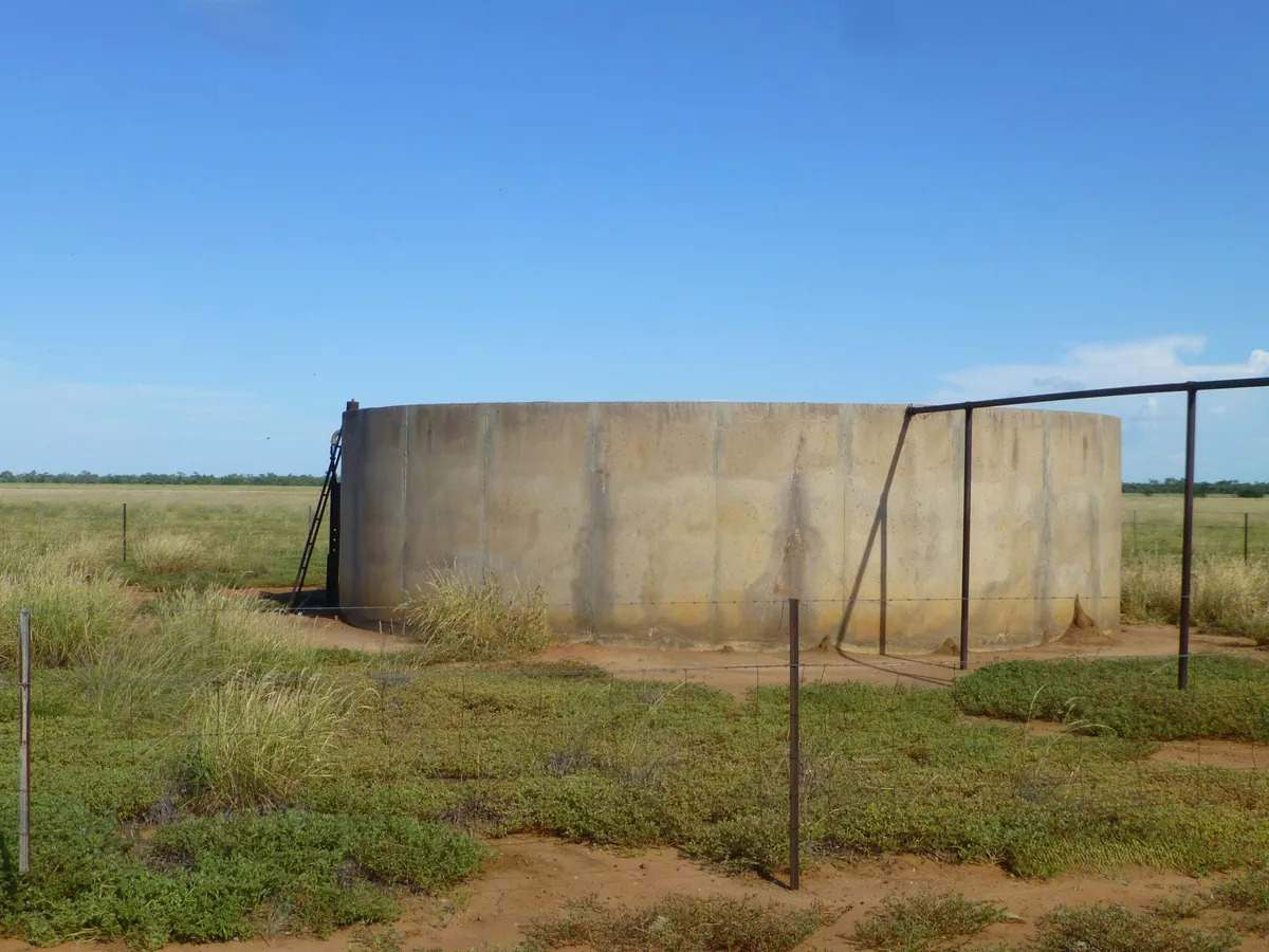 Ernestina Plains, Oorindi Sold by Farmbuy.com - image 16