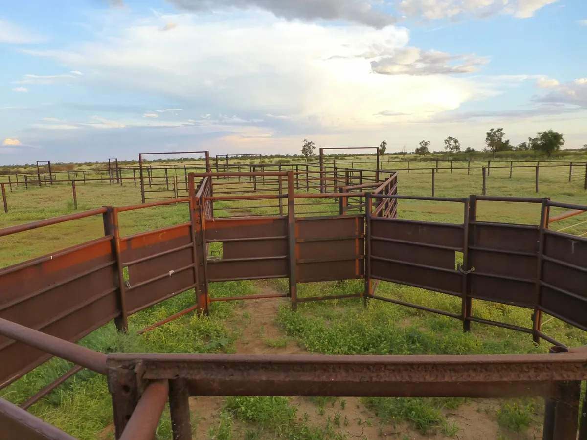 Ernestina Plains, Oorindi Sold by Farmbuy.com - image 27