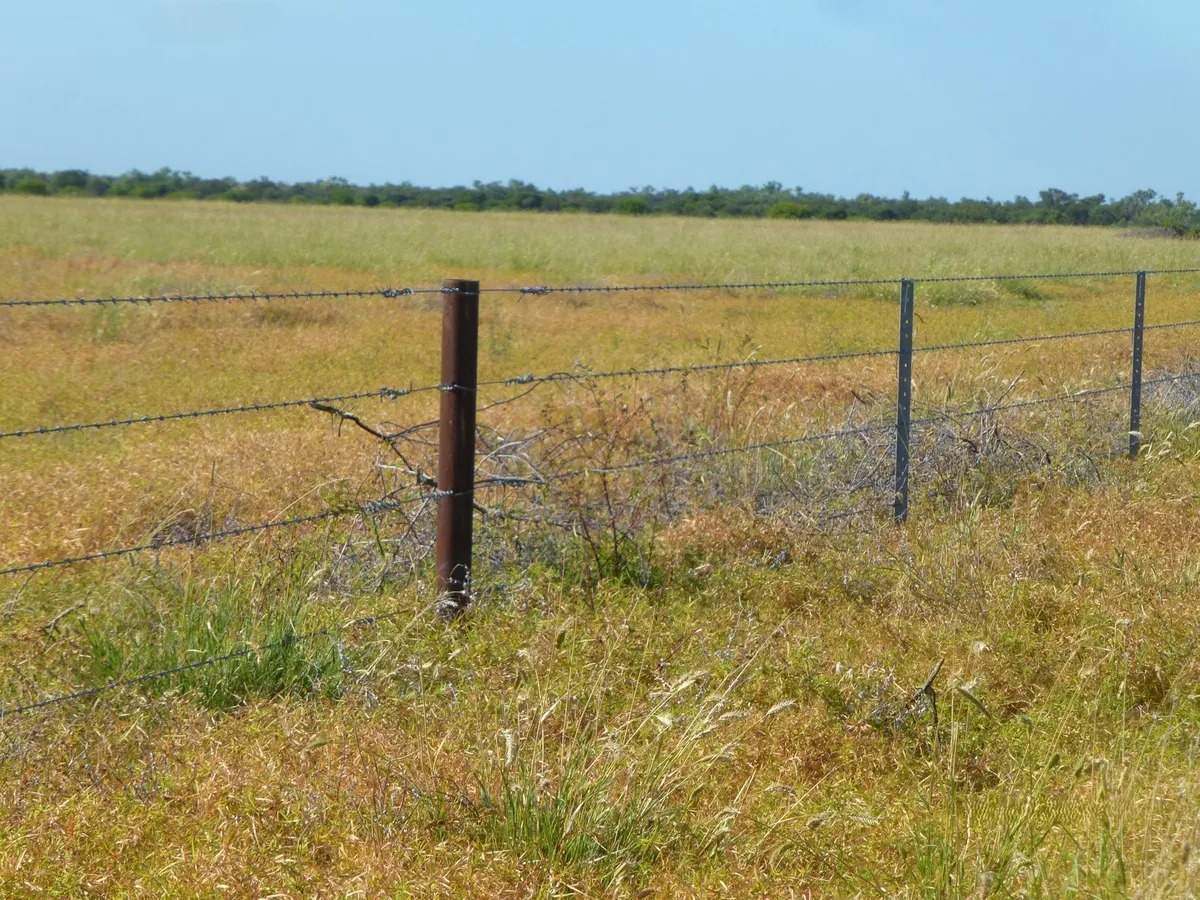 Ernestina Plains, Oorindi Sold by Farmbuy.com - image 2